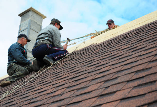 Best Roof Repair Services  in Wallenuck Lake Estates, PA